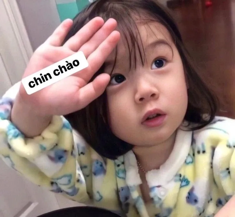 Meme hài xin chào cực chất, mang đến niềm vui cho cả nhóm bạn.