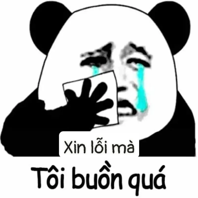 Dùng meme xin lỗi ny để làm tan biến cơn giận của người yêu, chắc chắn sẽ khiến họ cười vui vẻ!