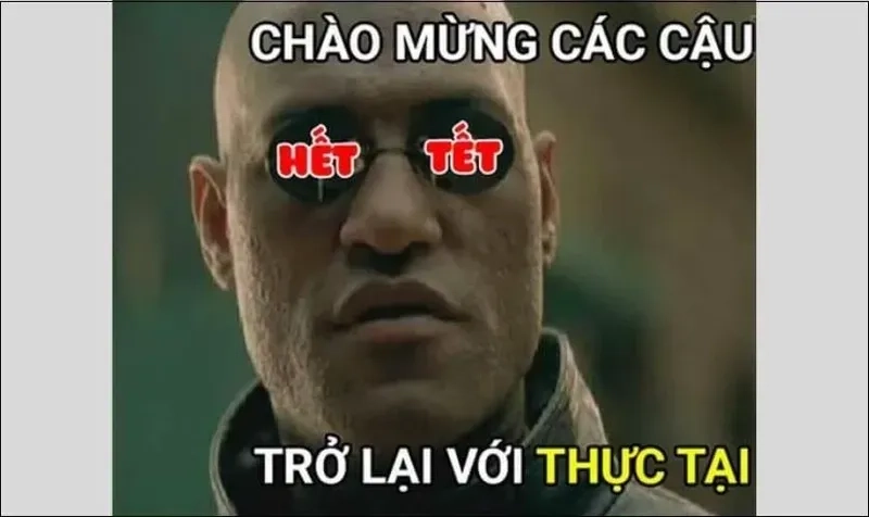 Tom and Jerry avatar meme Tết hài hước, tạo tiếng cười ngày xuân.