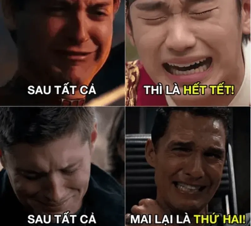 Avata Tết meme ấn tượng, giúp bạn hòa mình vào không khí Tết.