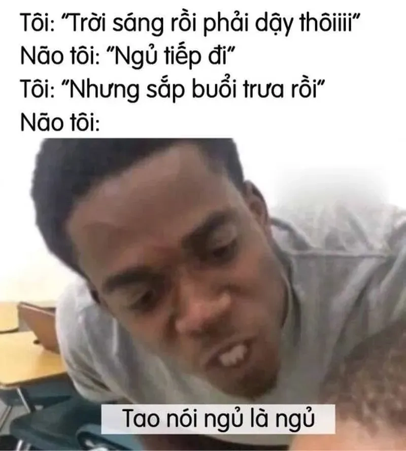 Mèo đi ngủ meme sẽ khiến bạn muốn đi ngủ ngay lập tức với nụ cười tươi.