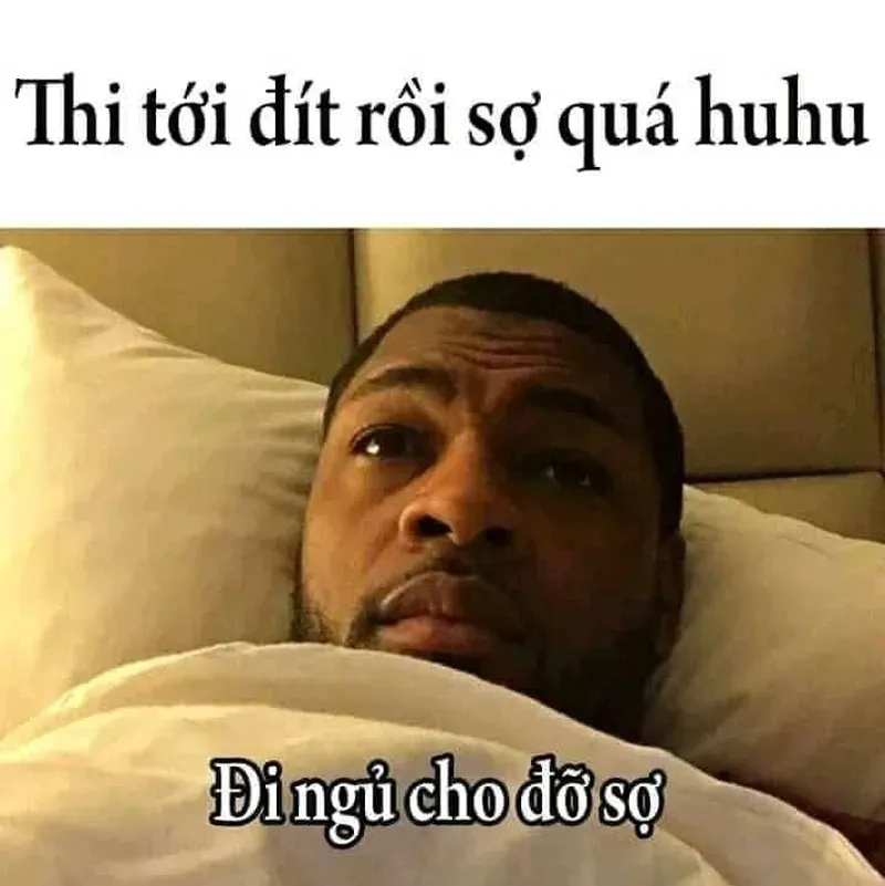 Ảnh meme đi ngủ đáng yêu giúp bạn sẵn sàng cho một giấc ngủ ngon.