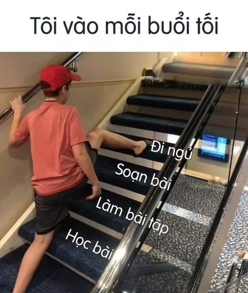 Đắp chăn và đi ngủ cùng meme dễ thương này, bạn sẽ có giấc ngủ tuyệt vời.