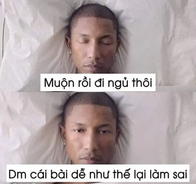 Đã đến lúc đi ngủ, meme đi ngủ đi sẽ nhắc bạn nghỉ ngơi.