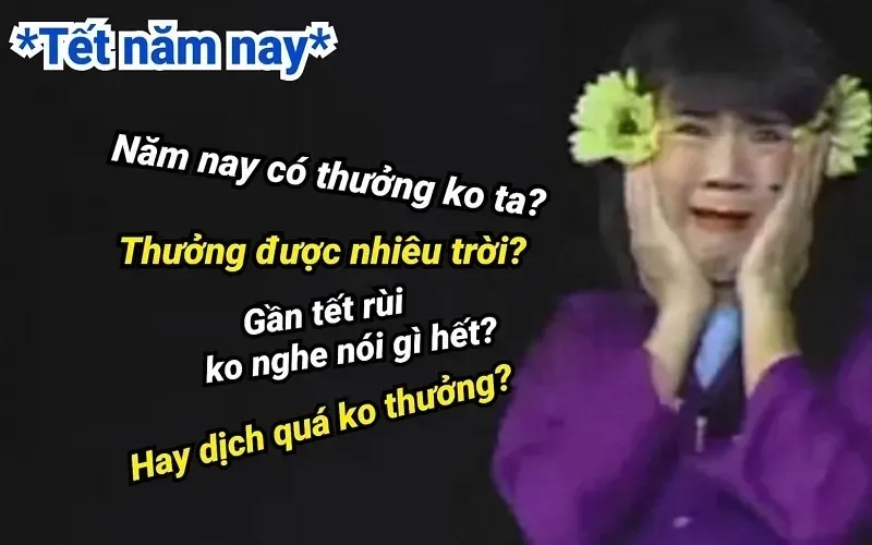 Meme thưởng Tết bá đạo, chế ảnh siêu hài không thể bỏ qua.