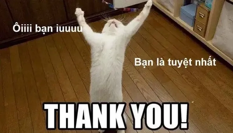 Thank meme – Hình ảnh cảm ơn đơn giản nhưng ý nghĩa đậm sâu.