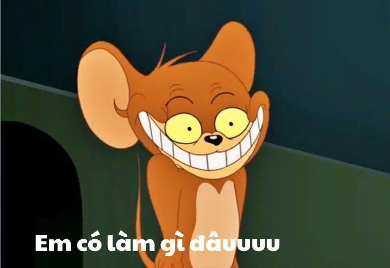 Khám phá Jerry and Tom meme với những tình huống ngớ ngẩn, gây cười không ngừng.