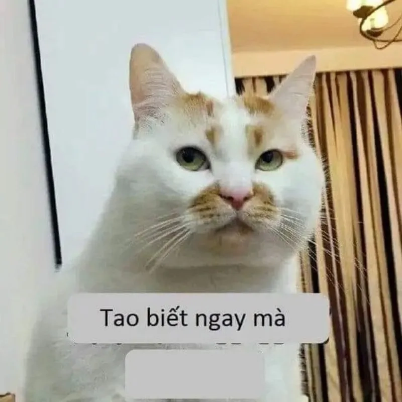 Bộ meme buồn vui đầy cảm xúc, là lựa chọn hoàn hảo để thư giãn.