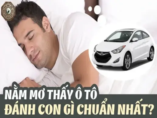 Nằm mơ thấy ô tô đánh con gì? Giải mã giấc mơ chi tiết