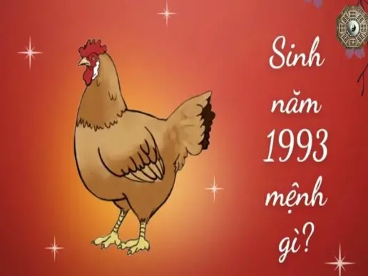 Sinh năm 1993 mệnh gì - Khám phá tử vi Quý Dậu