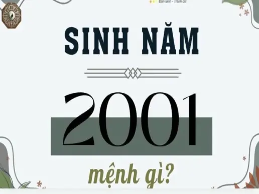 Sinh năm 2001 mệnh gì - Khám phá tử vi tân tỵ