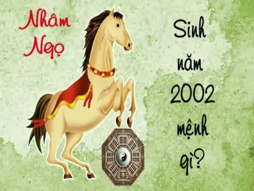 Khám phá mệnh, tử vi và phong thủy người sinh năm 2002