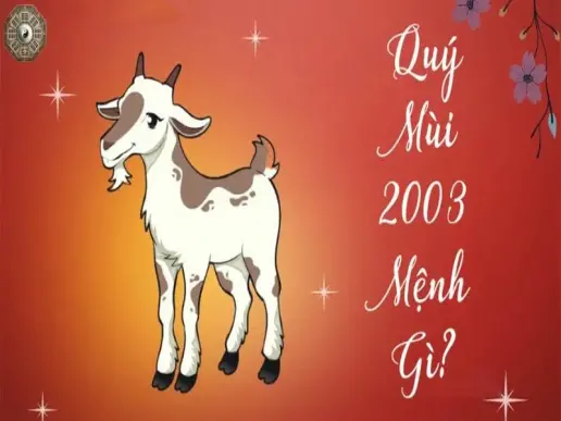 Sinh năm 2003 mệnh gì - Khám phá tử vi Quý Mùi