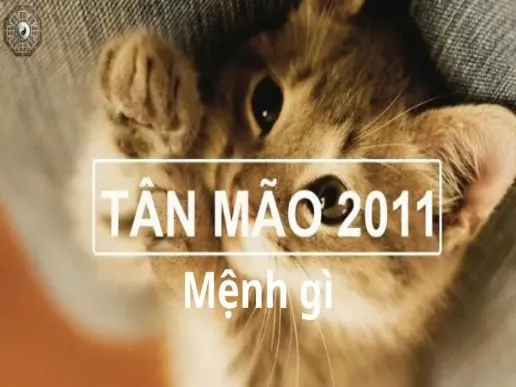 Sinh năm 2011 mệnh gì - Khám phá tử vi Tân Mão