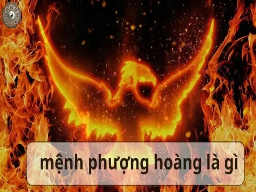 Mệnh Phượng Hoàng là gì? Biểu tượng và ý nghĩa phong thủy