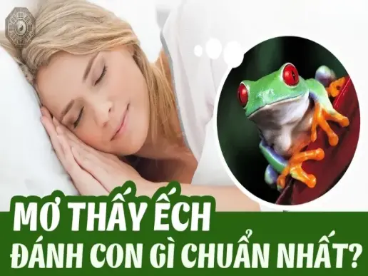 Giải mã chi tiết giấc mơ bắt được ếch và con số may mắn tương ứng