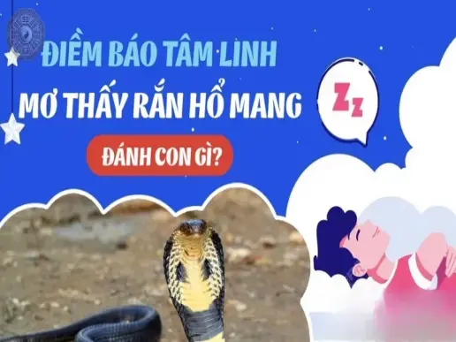 Nằm mơ thấy bắt rắn hổ mang là điềm báo gì? Tốt hay xấu?