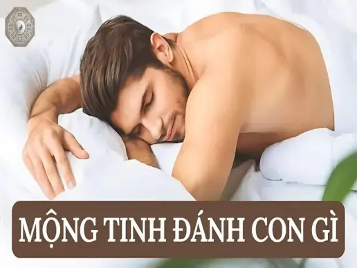 Nằm mơ mộng tinh - Điềm báo gì về tình yêu, sự nghiệp và cuộc sống?