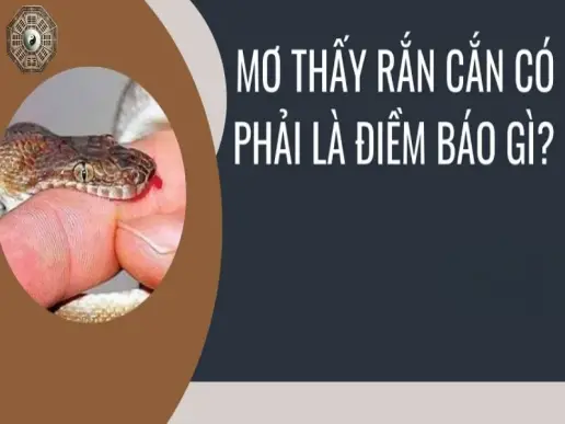 Nằm mơ thấy rắn cắn chảy máu là điềm báo tốt hay xấu?