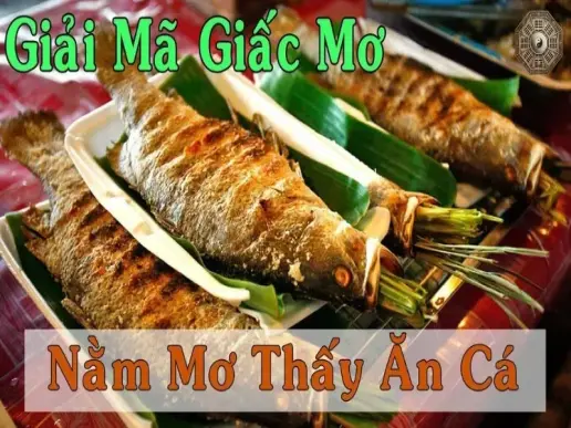 Giải mã giấc mơ thấy ăn cá - những lời khuyên từ chuyên gia