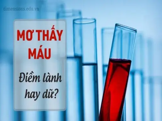 Nằm mơ thấy máu là điềm gì? Những điều chi tiết bạn cần biết