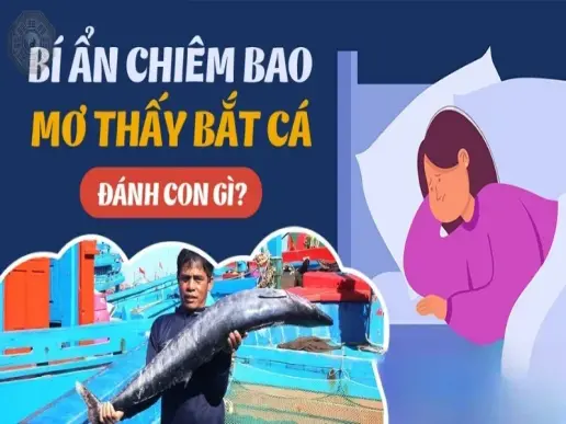 Giải mã giấc mơ bắt cá bằng hai tay và con số may mắn bạn nên biết