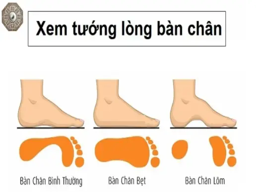 Nhân tướng học bàn chân - Dấu hiệu nào tiết lộ vận mệnh của bạn?