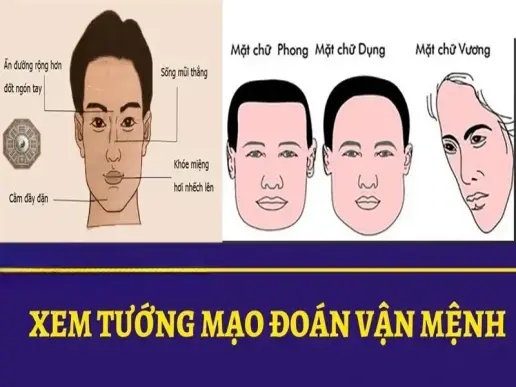 Tướng số vận mệnh - Cách đọc tướng để dự đoán tương lai