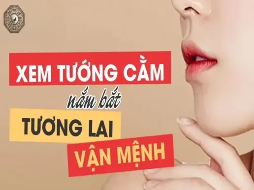 Cằm tiết lộ điều gì về bạn? Khám phá bí ẩn nhân tướng học