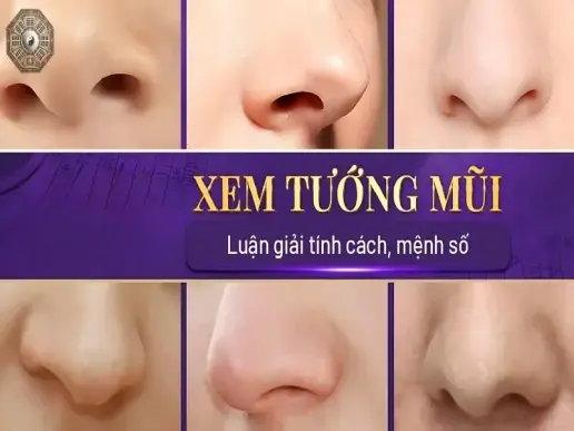 Xem tướng qua dáng mũi - 5 bí mật giúp bạn hiểu rõ bản thân hơn