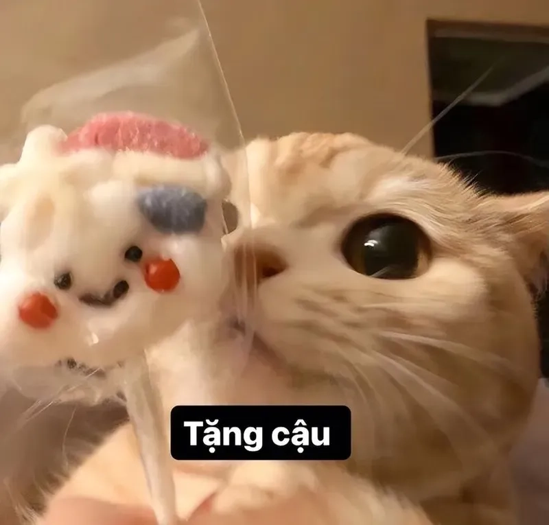 Avatar vô tri meme cực cool sẽ làm cho trang cá nhân của bạn trở nên thú vị và hài hước hơn.