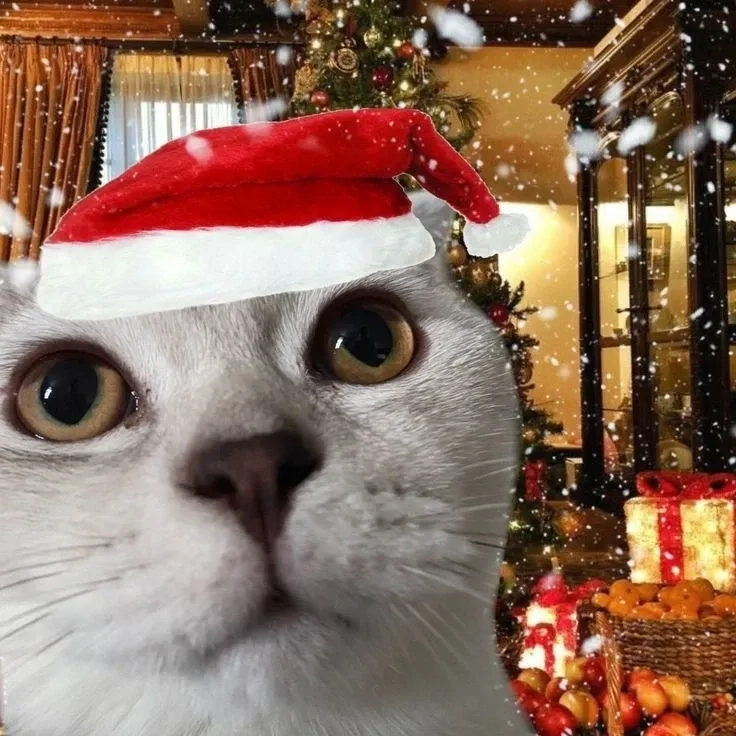 Mèo Noel meme siêu hài, điểm nhấn cho mùa lễ hội rộn ràng