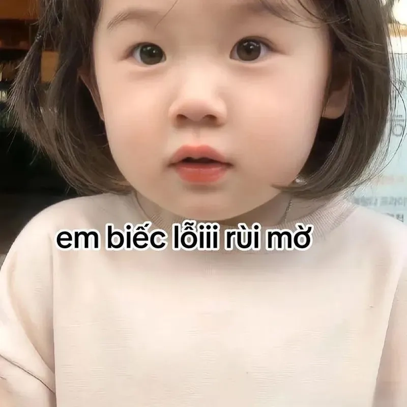 Những ảnh meme vô tri cute sẽ làm cho ngày của bạn thêm phần tươi sáng và vui nhộn.