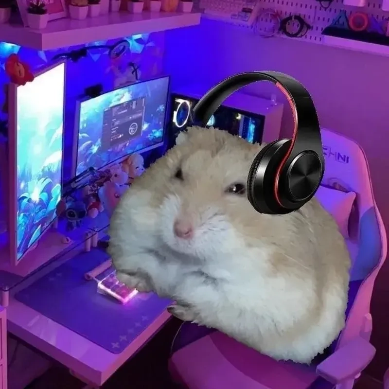 Meme chuột hamster siêu nhộn, khiến người xem bật cười.