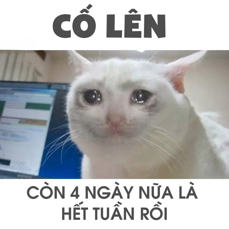 Fighting meme cố lên – tiếp tục tiến về phía trước dù có khó khăn!