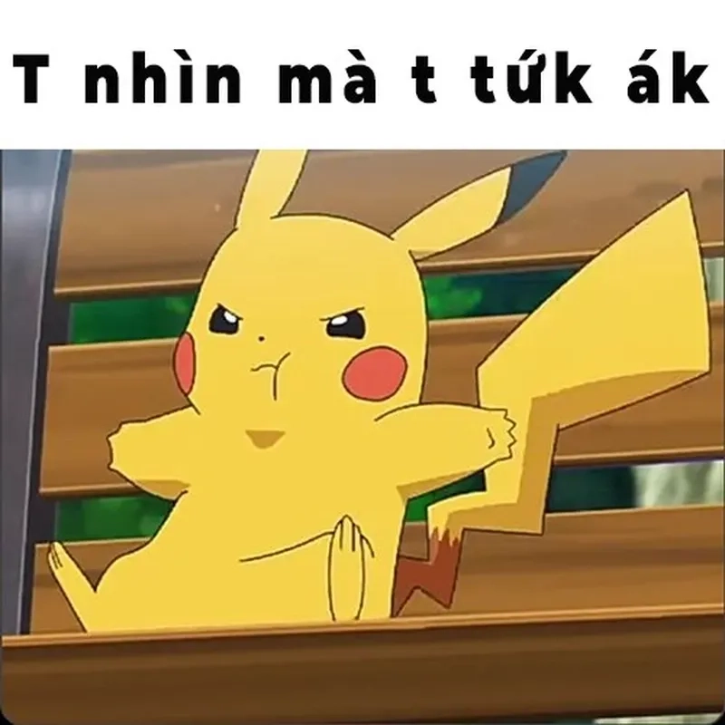 Mèo meme tức giận với biểu cảm cực ngầu khiến người xem bật cười