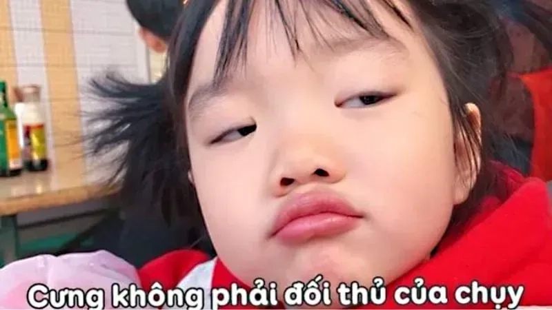 Mèo hài meme cực kỳ dễ thương, xem ngay để tận hưởng những giây phút thư giãn!