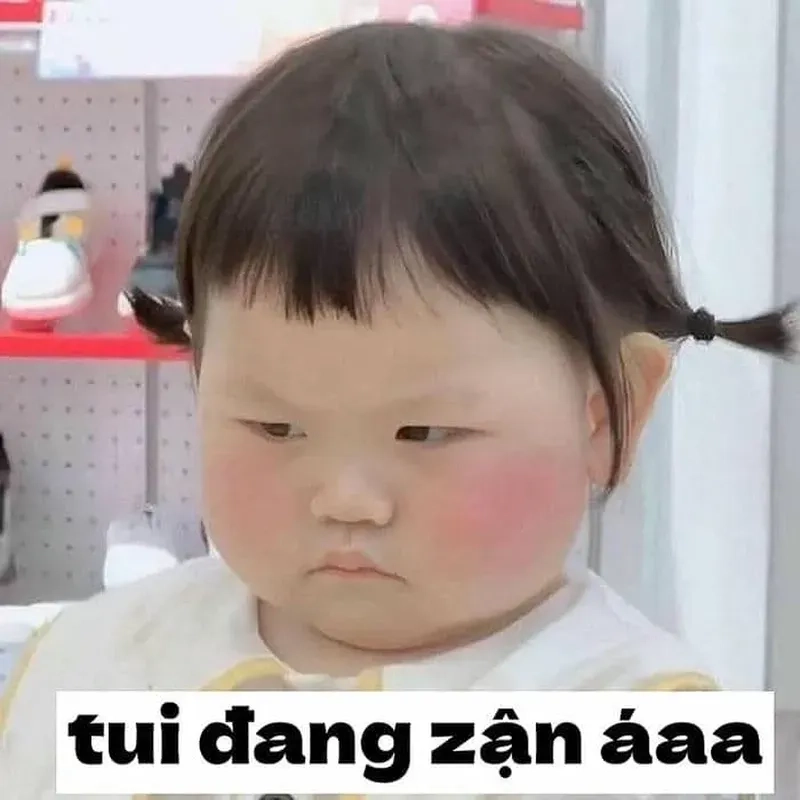 Meme khoanh tay giận với dáng vẻ cực dễ thương và hài hước