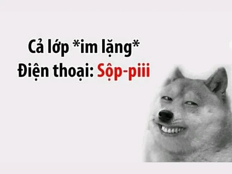 Cười thả ga với những ảnh hài meme siêu hài hước, cực kỳ vui nhộn.