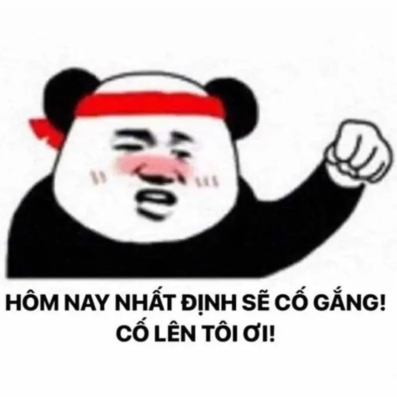 Ảnh meme cố gắng truyền tải thông điệp về sự nỗ lực không ngừng nghỉ.