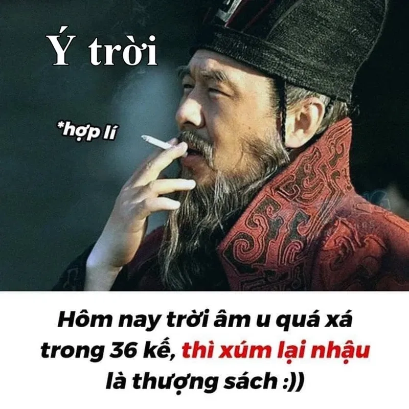 Nhộn hài meme chuột hamster cực kỳ dễ thương và vui nhộn, đảm bảo khiến bạn phì cười!