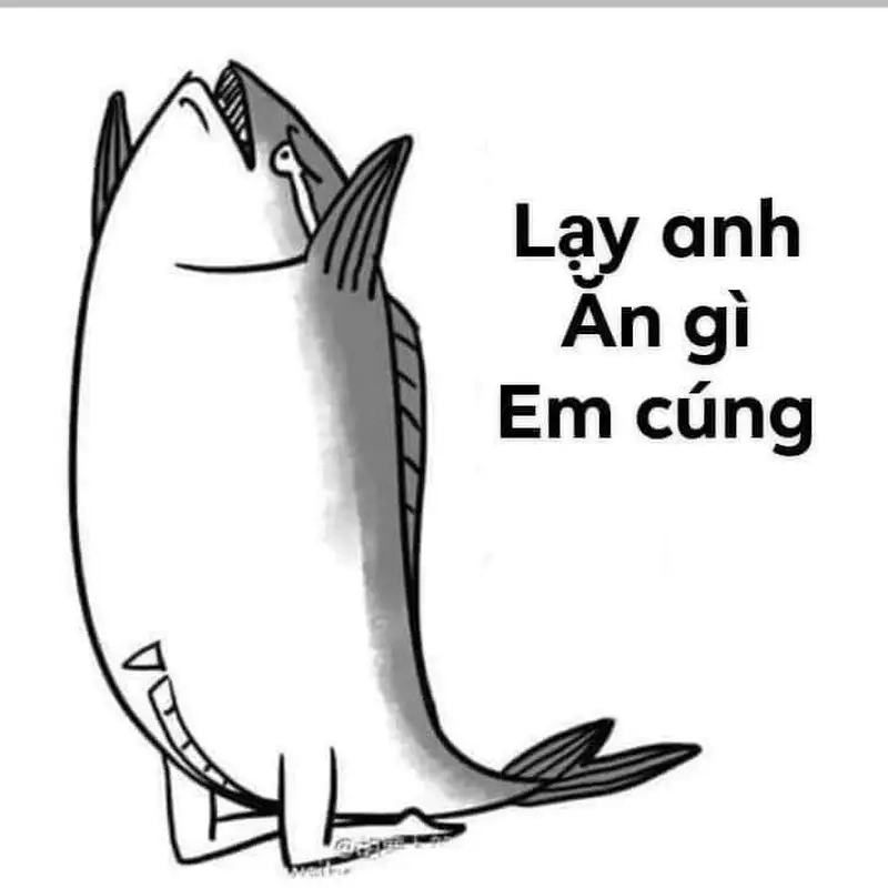 Meme quỳ lạy van xin là những tình huống cực kỳ thú vị mà bạn không thể bỏ qua!