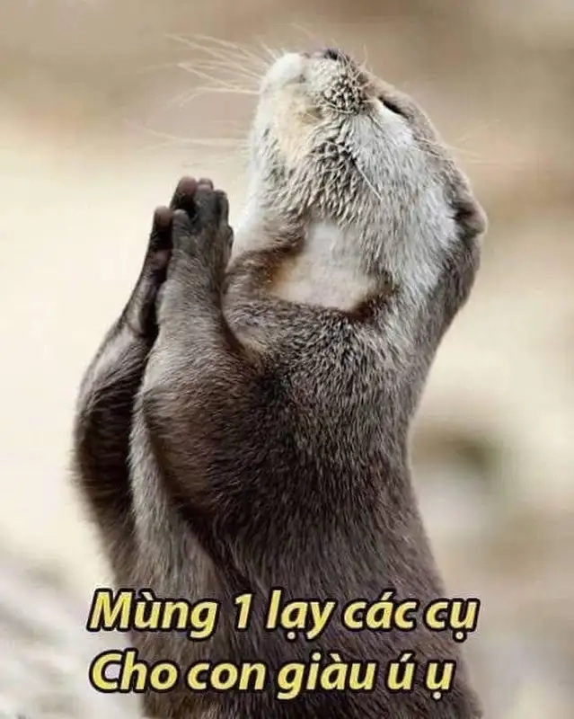 Những khoảnh khắc Meme lạy chúa trên cao với các tình huống hài hước độc đáo đang thu hút sự chú ý!