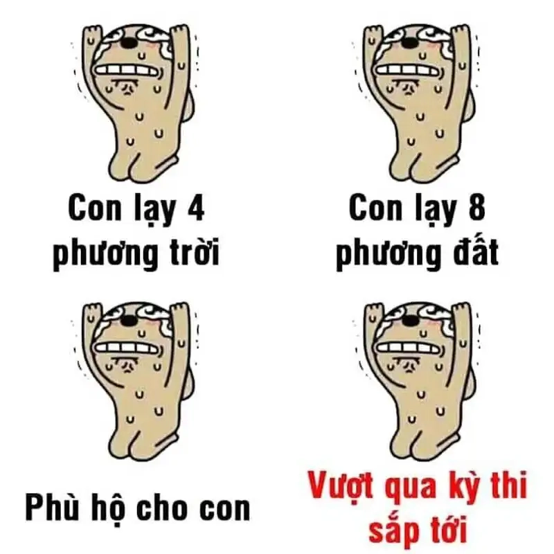 Cùng xem Meme quỳ và không thể nhịn cười với những tình huống hài hước, ngộ nghĩnh!