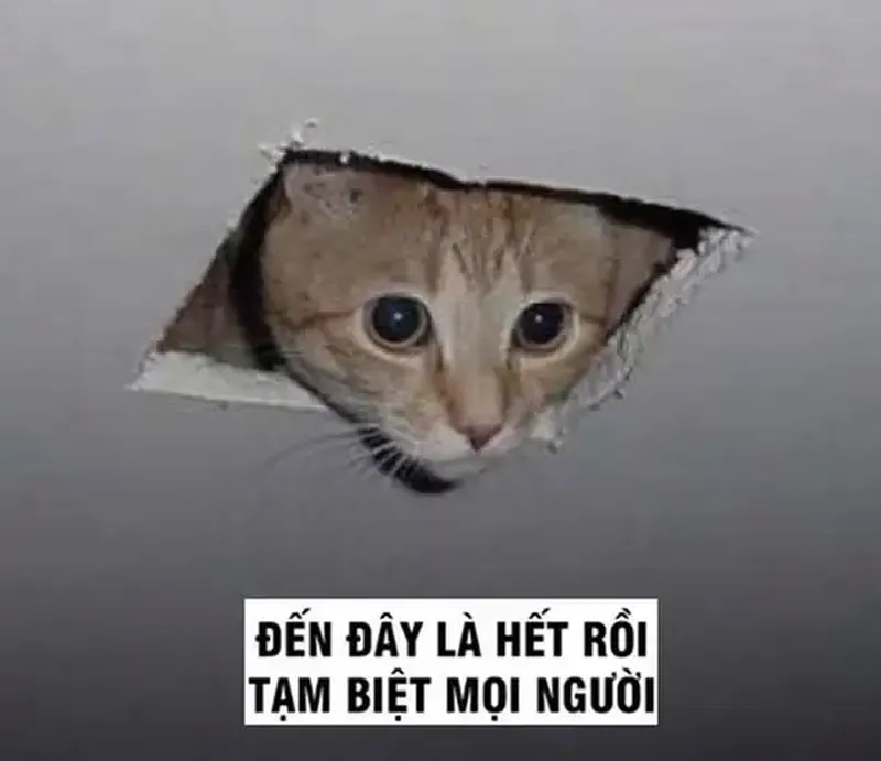 Bye bye meme giúp bạn kết thúc câu chuyện với phong cách độc đáo.