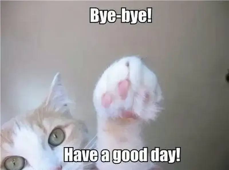 Meme goodbye sáng tạo khiến lời chia tay trở nên dễ chịu hơn.