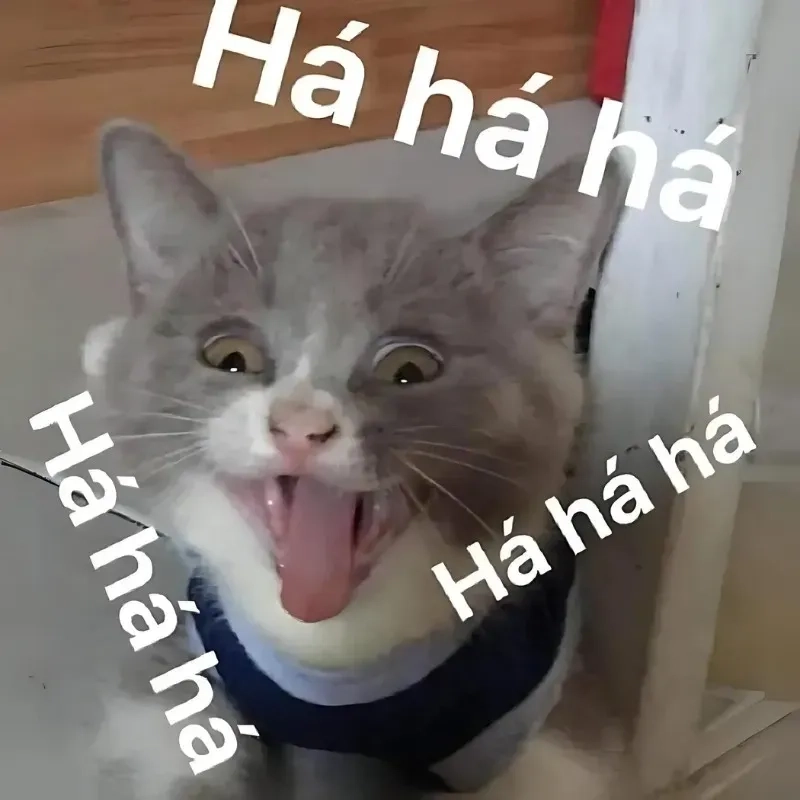 Meme haha hay sad? Cùng xem meme khiến bạn bật cười ngay lập tức!