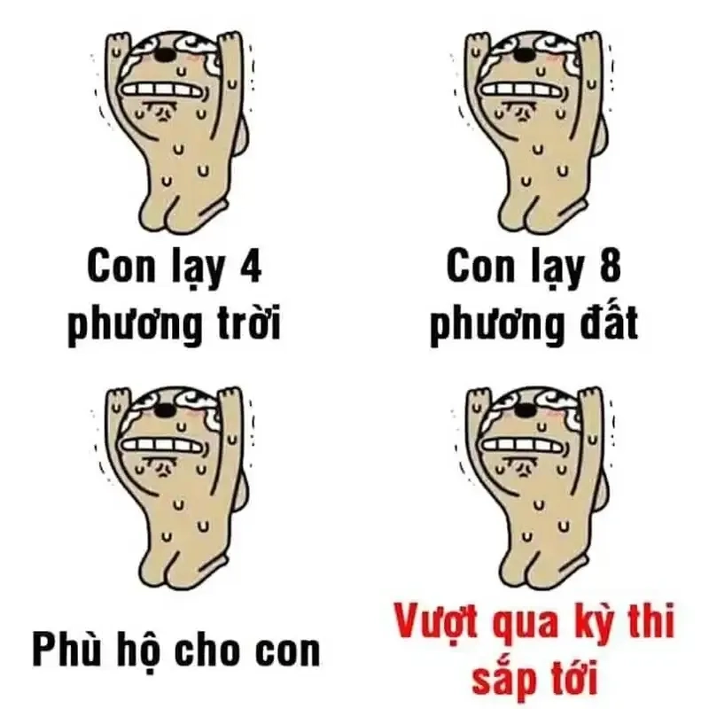 Cách xin lỗi hài hước với meme quỳ khiến ai cũng bật cười.