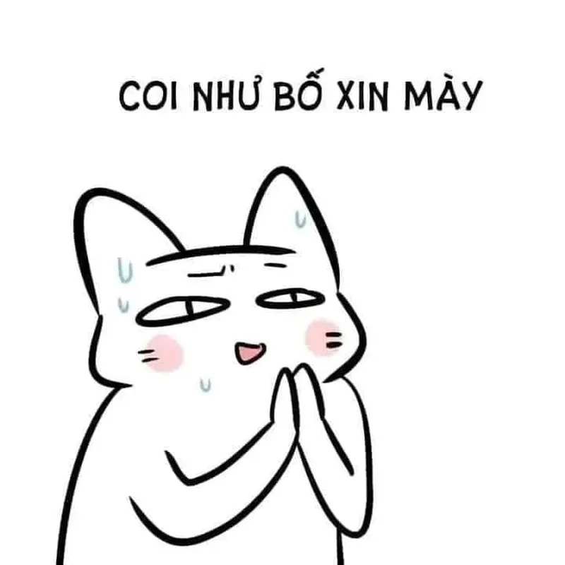 Loạt ảnh quỳ meme độc đáo và sáng tạo dành cho bạn.