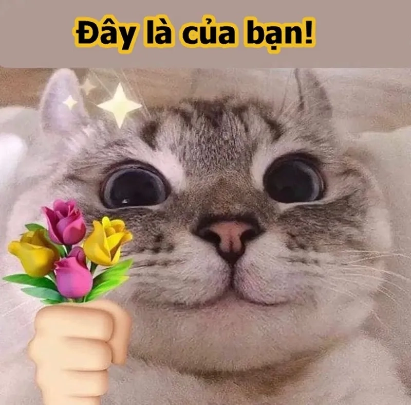 Tặng em bông hoa meme mang lại sự dễ thương tuyệt vời qua những bông hoa và lời chúc ngọt ngào!